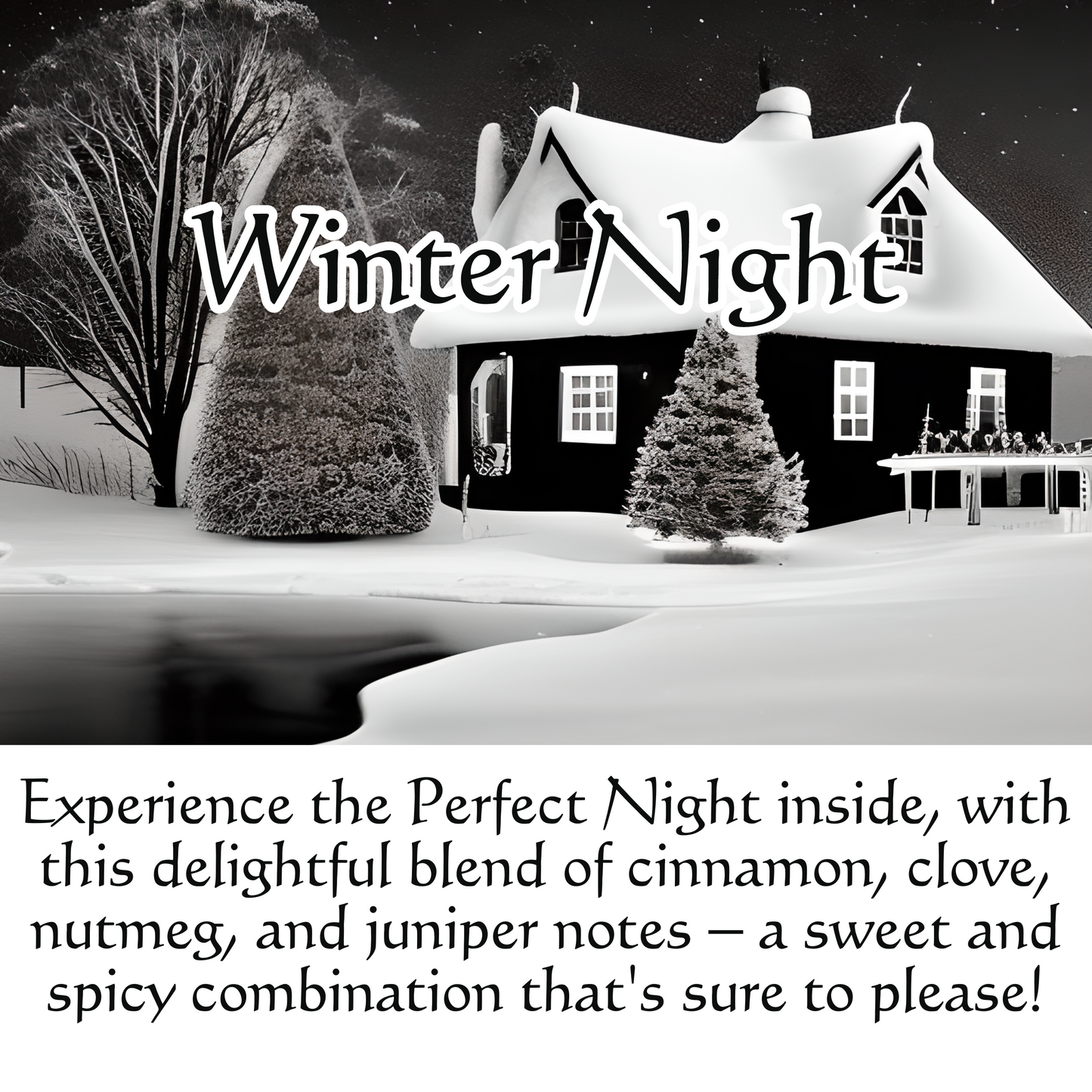 Winter Night