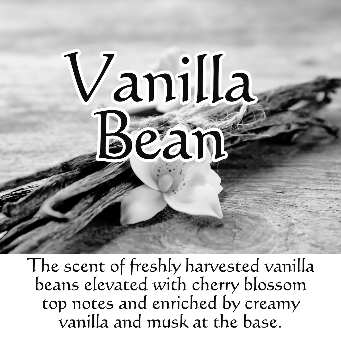 Vanilla Bean